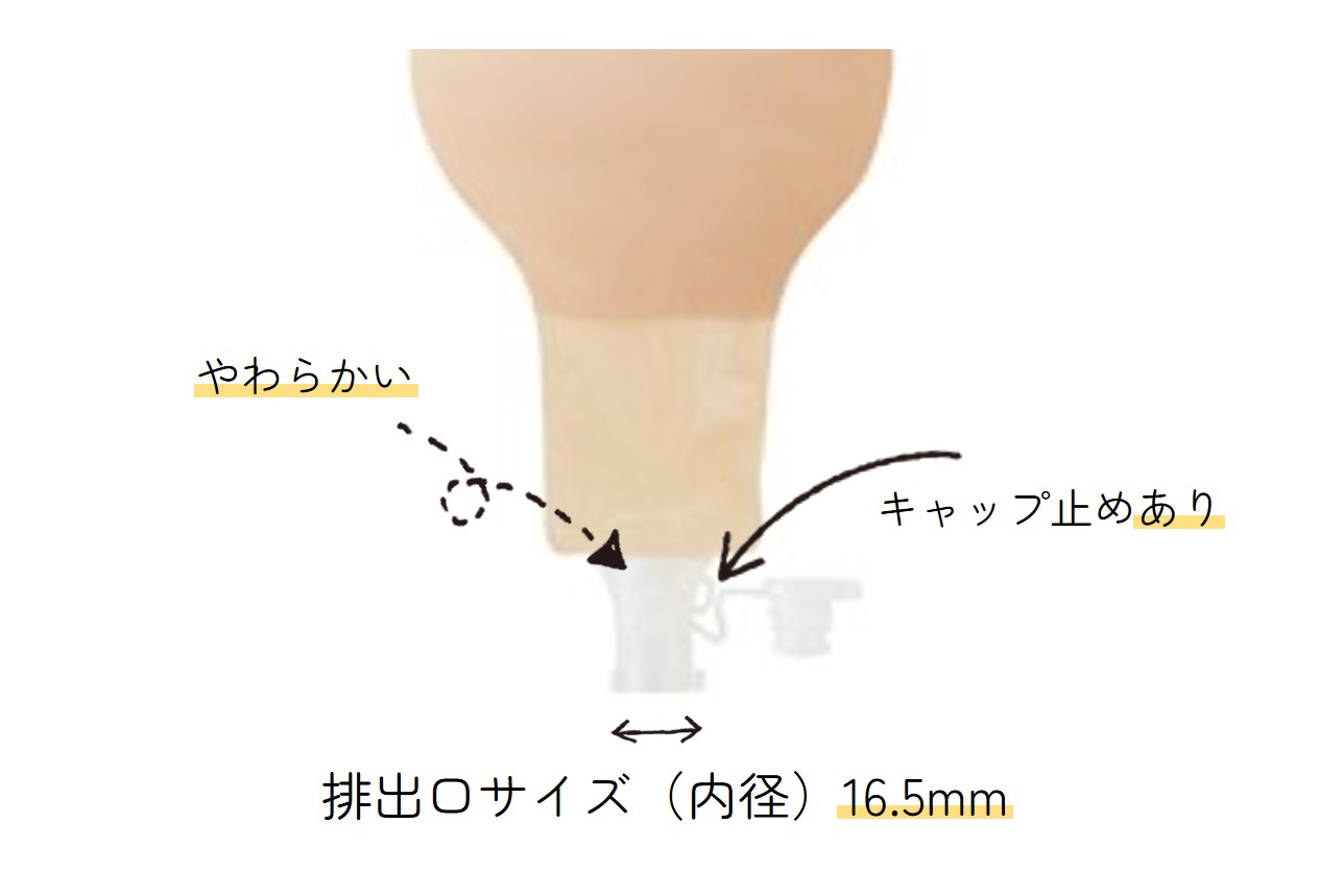 ホリスター